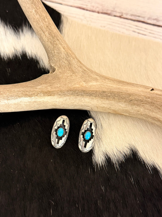 Shadowbox Turquoise Earrings