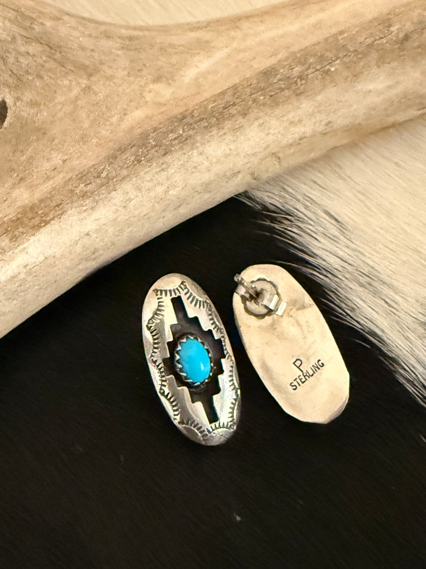 Shadowbox Turquoise Earrings