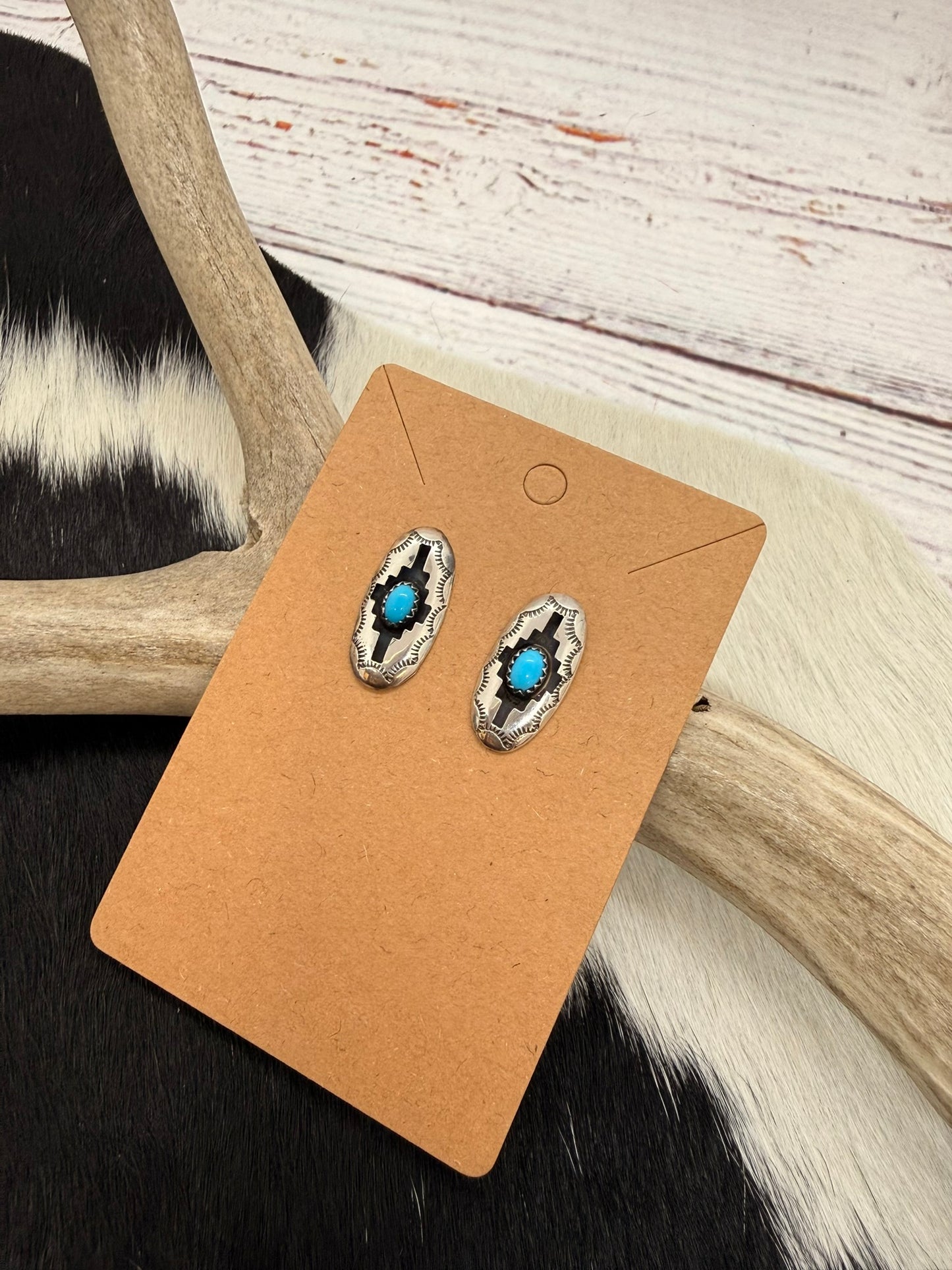 Shadowbox Turquoise Earrings