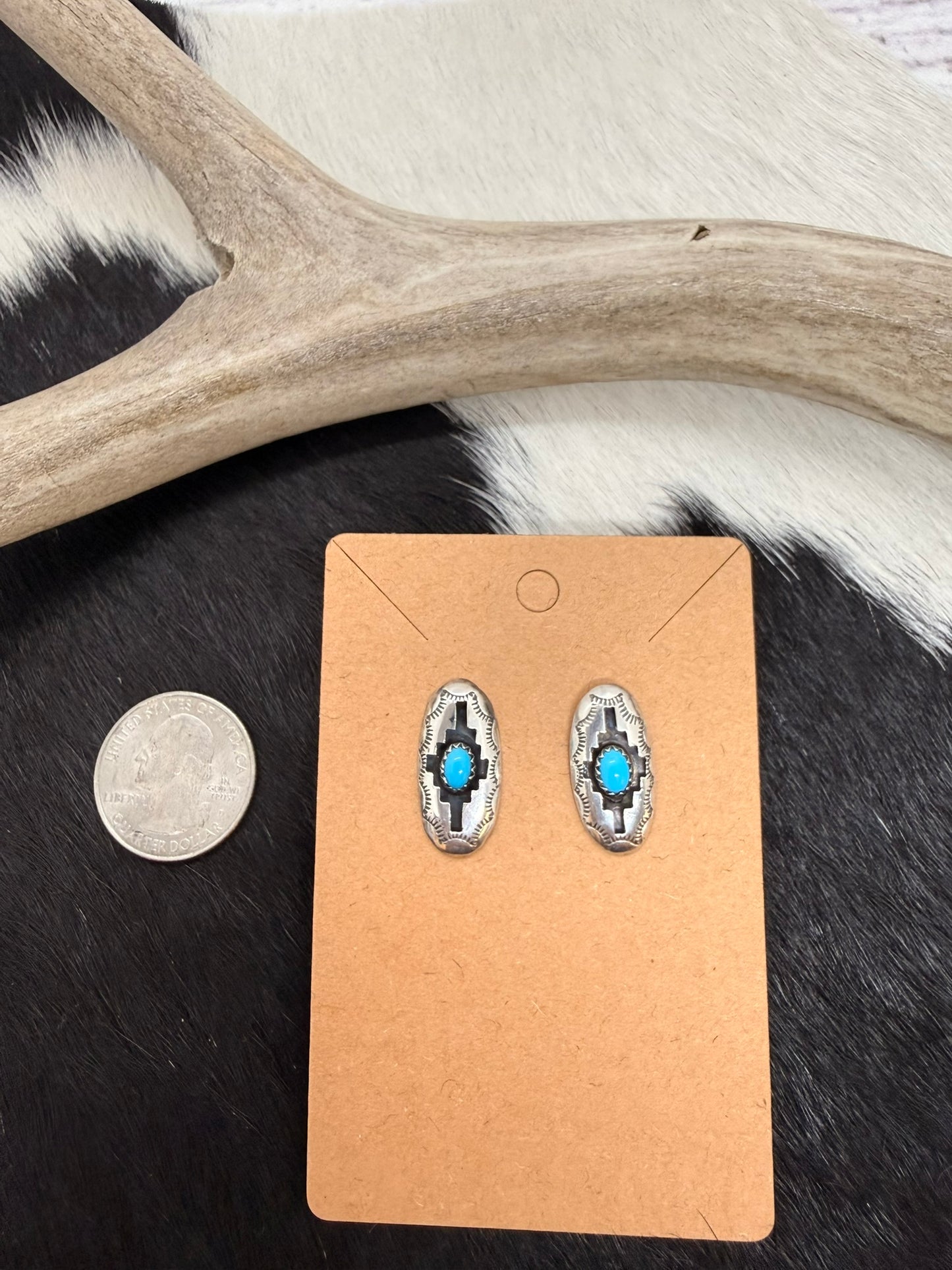 Shadowbox Turquoise Earrings